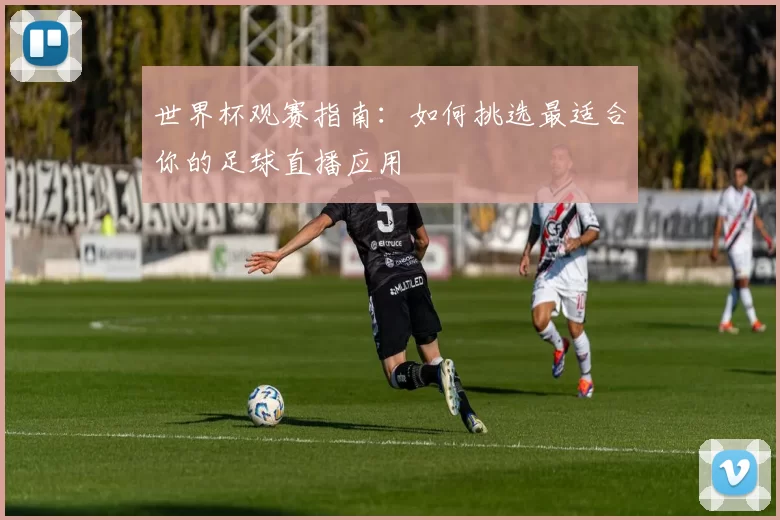 世界杯观赛指南：如何挑选最适合你的足球直播应用