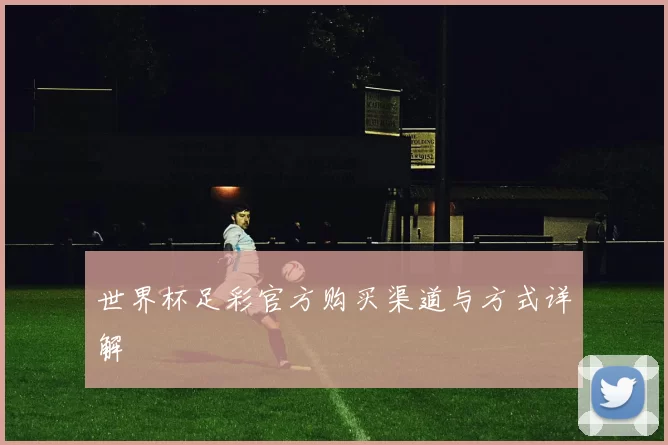 世界杯足彩官方购买渠道与方式详解