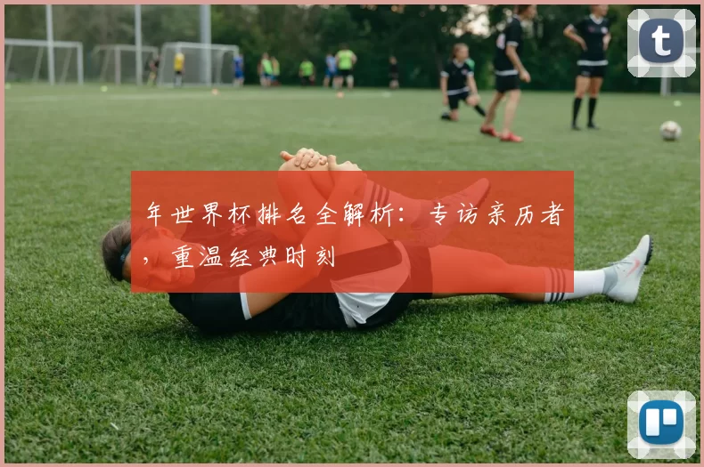 年世界杯排名全解析：专访亲历者，重温经典时刻