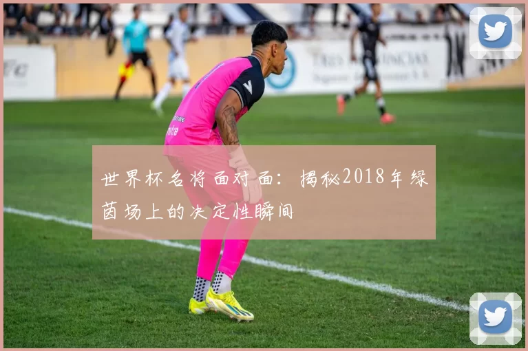 世界杯名将面对面：揭秘2018年绿茵场上的决定性瞬间