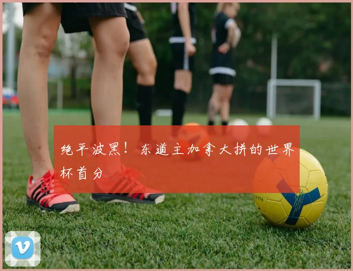 绝平波黑！东道主加拿大拼的世界杯首分