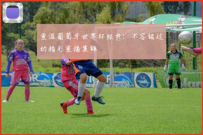 重温葡萄牙世界杯经典:不容错过的精彩重播集锦