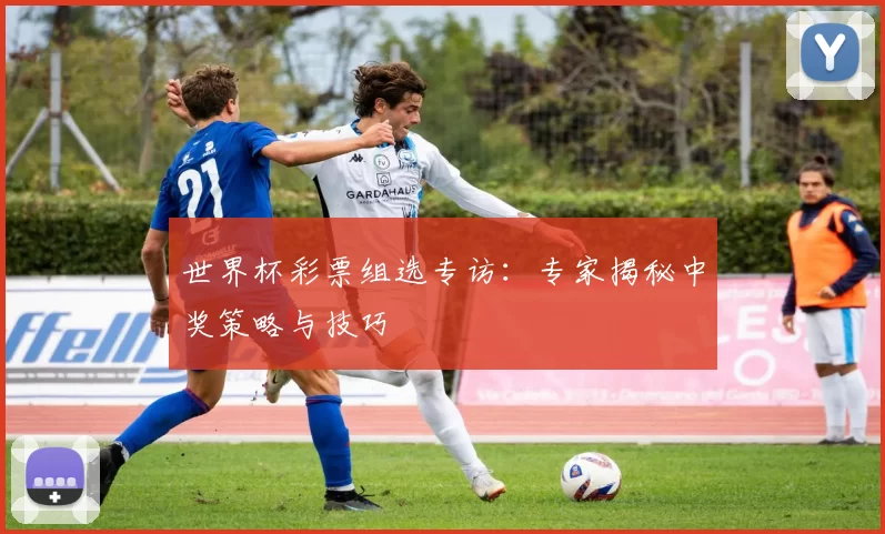 世界杯彩票组选专访:专家揭秘中奖策略与技巧