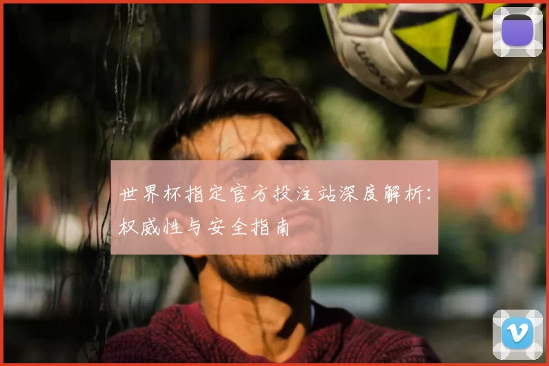 世界杯指定官方投注站深度解析：权威性与安全指南