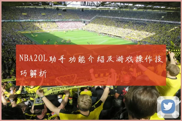 NBA2OL助手功能介绍及游戏操作技巧解析
