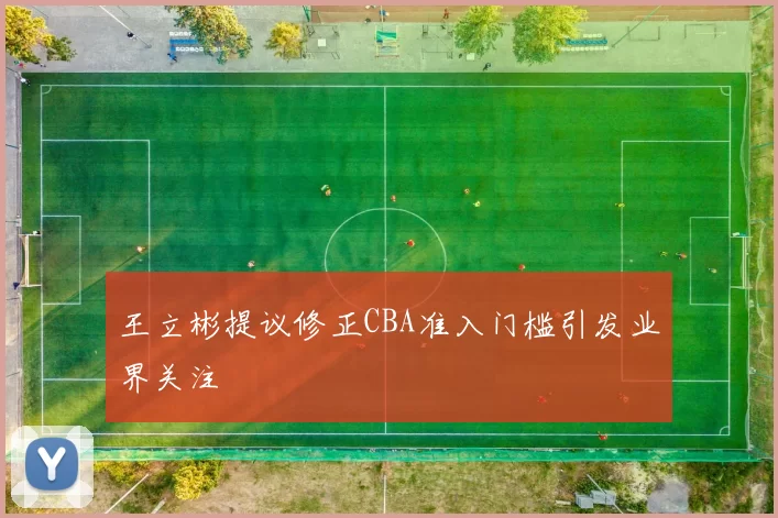 王立彬提议修正CBA准入门槛引发业界关注