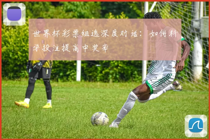 世界杯彩票组选深度对话：如何科学投注提高中奖率