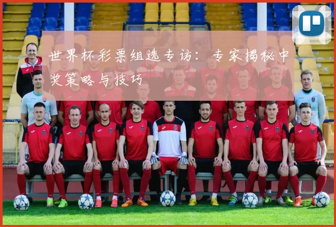 世界杯彩票组选专访:专家揭秘中奖策略与技巧