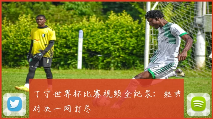 丁宁世界杯比赛视频全纪录：经典对决一网打尽