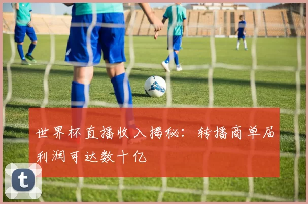 世界杯直播收入揭秘：转播商单届利润可达数十亿