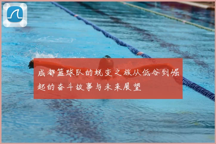 成都篮球队的蜕变之旅从低谷到崛起的奋斗故事与未来展望