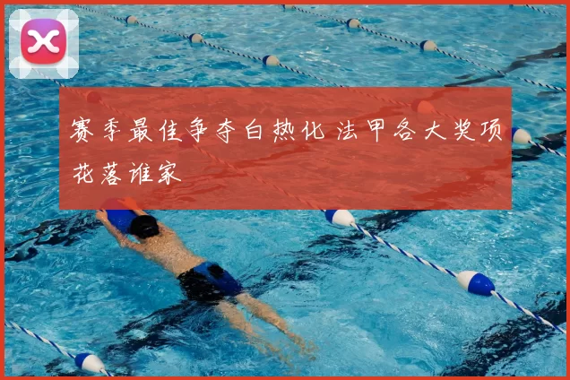 赛季最佳争夺白热化 法甲各大奖项花落谁家