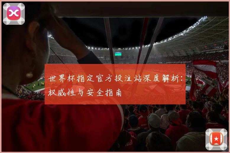 世界杯指定官方投注站深度解析：权威性与安全指南